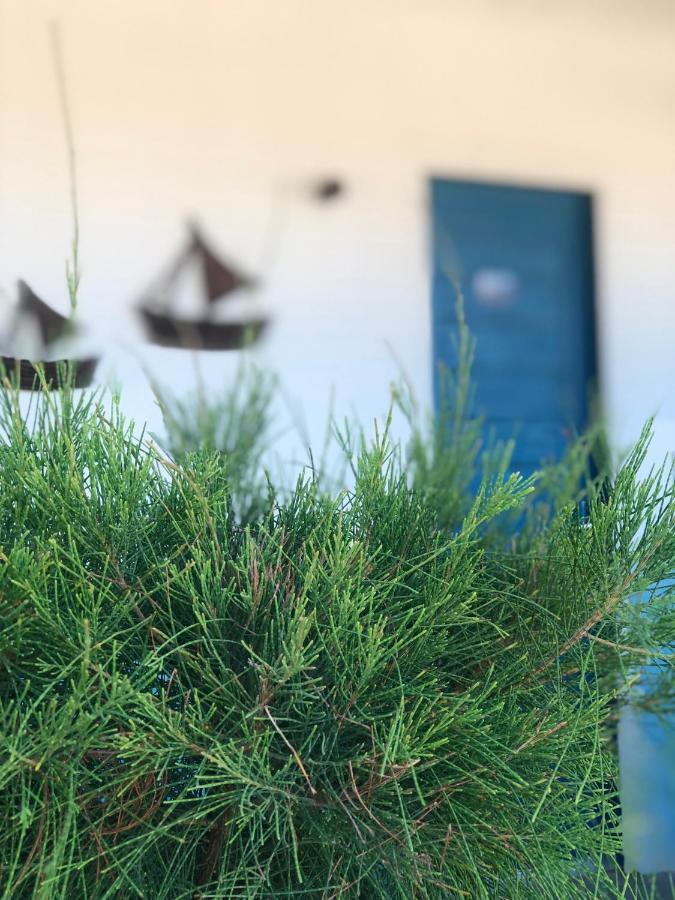 Pousada portal dos ventos a beira mar Icapuí Exterior foto